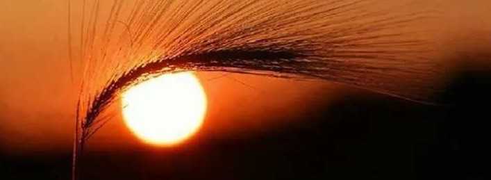 17 креативных идей, как фотографироваться с закатным солнцем